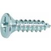 Countersunk Head Tapping Screw Phillips