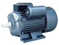 Electric motor