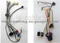 Wire Harness Vtw-010002 Byd(f2), Jac(benjoy)