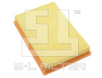 Air Filter 6001000383