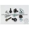 Special Bolt with Washer 307 206 C2 Tiida