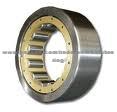 Cylindrical Roller Bearing