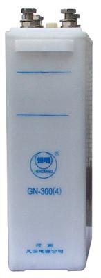 Pocket type battery GN300