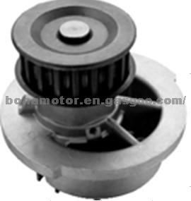 Water Pump GM 10048949 12371989