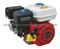 Gasoline Engine6. 5 HP