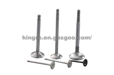 Engine Valve For Nissan F201-12-111