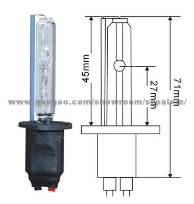 H1 Hid Bulb