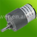 Gear Motor