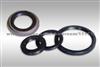 Faw Brilliance Shanghai Oil Seal S2403090