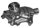 Water Pump Gm Aw5016 10048919