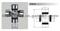 Isuzu Universal Joint
