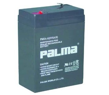 Lead Acid Battery (PM6A-6)