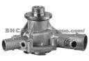 Water Pump 1112004201