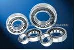 Cylindrical Roller Bearings with Competitive Prices