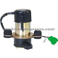 Electronic Fuel Pump