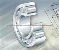 Cylindrical Roller Bearing