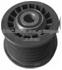 Tensioner Pulley 6012001270