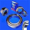 SKF Cylindrical  Roller  Bearing for Toyota