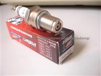 Racing Iridium Spark Plug (EGP-B10) for Bugatt