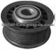 Tensioner Pulley 6012001070