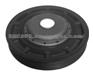 Crankshaft Pulley 8200185800