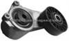 Tensioner 1022006970/1022006670