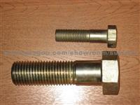 Hexagonal Head Bolt