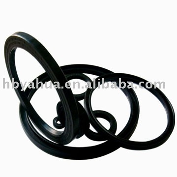 Oil Seal