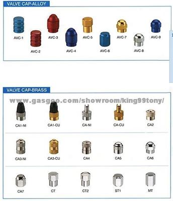 Wheel Lug Nuts & Bolts Tire Valve