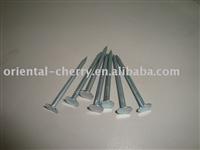 EG  ROOFING  NAILS