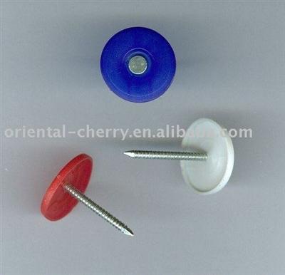 Plastic Cap Nail with High-quality Low-carbon-steel
