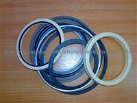 Excavator Seal Kit for Volvo