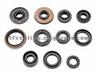 Dampers Oil Seals