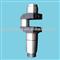 Engine Crankshaft