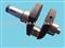 Engine Crankshaft