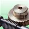 Worm gear