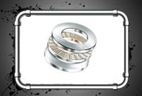 Needle roller bearings