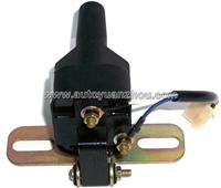 automobile dry ignition coil