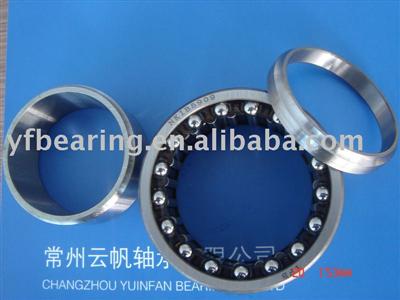 Combined Radial and Thrust Bearing