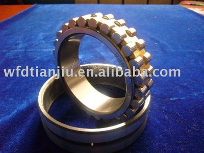 Cylindrical roller bearing NN3020-NN30/1800