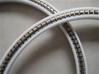 spring energized seal(Good quality)