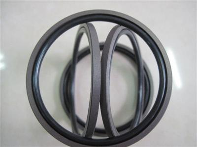 Piston Seal(good Quality)