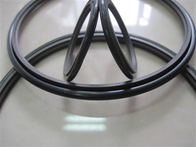Piston Rod Seal(good Quality)