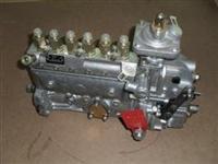 injection pump