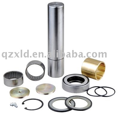 King Pin Kit for  RENAULT(Good quality)