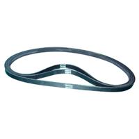 High Quality Ribbed Belt