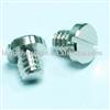 Slotted Screws