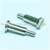 Slotted Screw