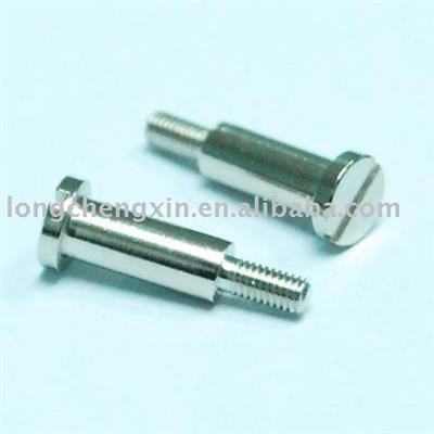 Slotted Screw