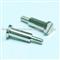 Slotted Screw